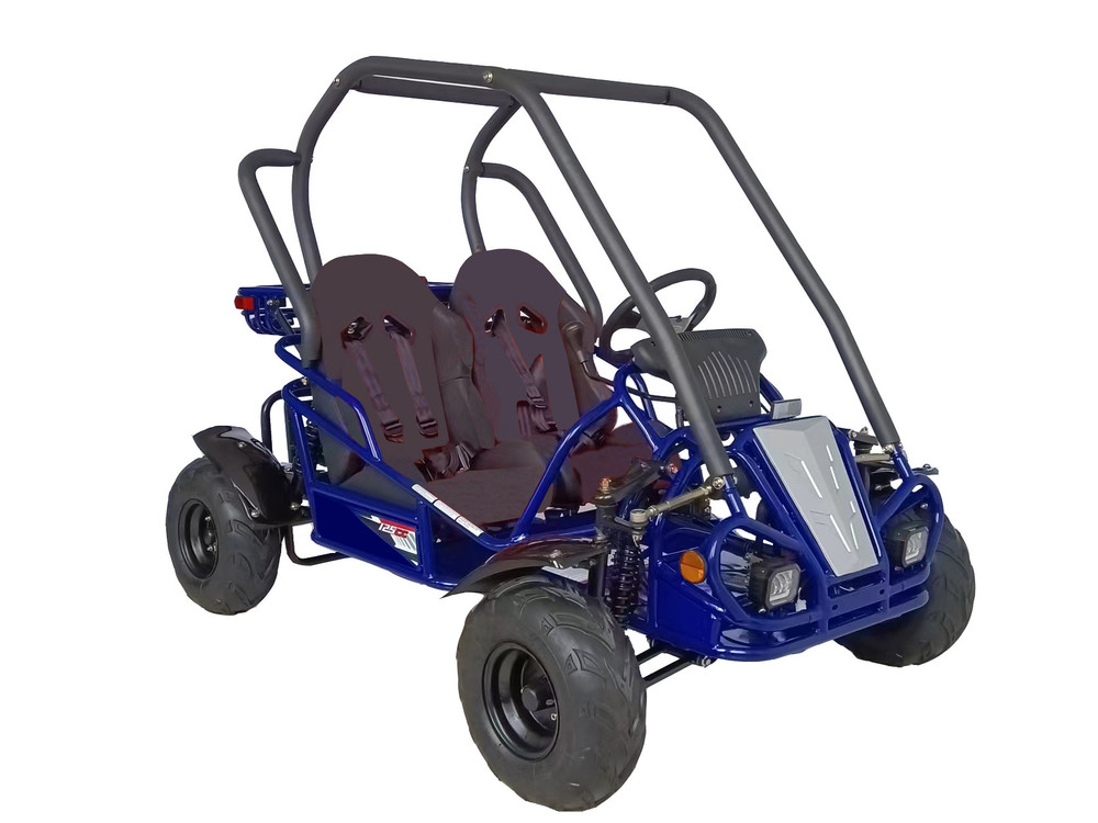 RPS Raytech 125cc Go Kart GKT125-9 Spyder | TX Power Sports