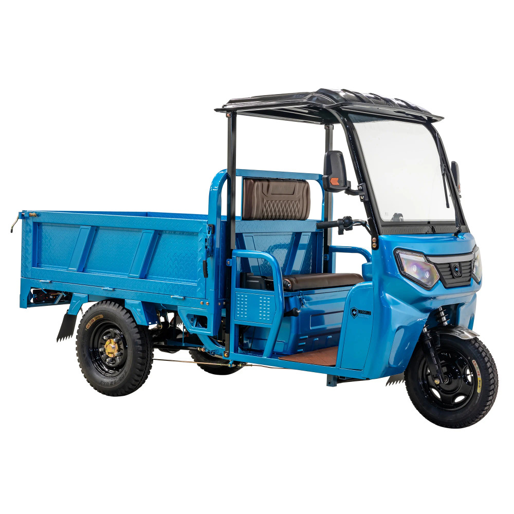 Massimo MGC Cargo Max Electric Utility e-Trike