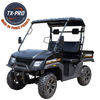 TX-PRO 200Cc EFI Utv, Single Cylinder, Four Stroke, Balance shaft With Short hard roof (Dump bed) - Delivered Assembled & Tested + $600 Free Perks