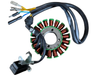 Hawk 250 DLX Stator for Sale – EFI Magneto Coil Assembly for 250cc Dirt Bike