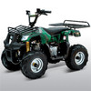 ATV 110CC F1 (ATV 110CC W/ REAR AND FRONT RACK REMOTE KILL AND START & MORE) -Green