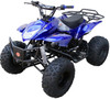 Coolster 3125A2 Mountain-HD125 Mid Size ATV, Air Cooled, Single Cylinder 4-Stroke Auto w/ Reverse -Blue
