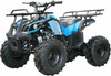 Coolster 3125XR8 Kodiak-Hd 125CC Mid Size ATV, Air Cooled, Single Cylinder, 4-Stroke Auto w/ Reverse -Blue
