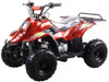 Coolster 3050C-Tumbleweed-Hd Youth Atv, Honda Clone, 110Cc Air Cooled, Single Cylinder, 4-Stroke ATV - Fully Assembled and Tested -Red