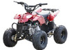 Cougar Cycle RACER PL-110 (110cc) ATV, Single Cylinder, 4 Stroke, OHC -Red