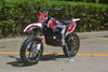 New Apollo DB-10 Electric Dirt Bike 500 W -Red