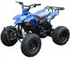 ICE BEAR ''Big Raptor'' 125cc ATV Automatic with Reverse -Blue