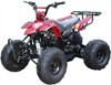 ICE BEAR ''Big Raptor'' 125cc ATV Automatic with Reverse -Red