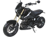 ICE BEAR FUERZA 125CC AIR COOLED, 4 SPEED (PMZ125-1) MOTORCYCLE