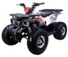 Tao Motor Raptor 10, 120cc Air Cooled, 4-Stroke, 1-Cylinder, Automatic With Reverse -Red