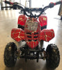 RPS 110CC Raider 6 Kids Air Cool, Single Cylinder, 4-Stroke ATV