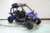 NEW RPS TIKING 125GK-3 (TK125-3) GO KART