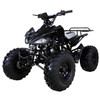 Taotao Cheetah Mid Size ATV 125 107CC, Air cooled, 4-Stroke, 1-Cylinder, Automatic with Reverse - Fully Assembled and Tested - Black