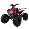 Taotao Cheetah Mid Size ATV 125 107CC, Air cooled, 4-Stroke, 1-Cylinder, Automatic with Reverse - Fully Assembled and Tested - Red