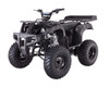 TAOTAO ATA 250D Huge 23 inch tires ATV -Black