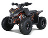 Rival Motor TRAILHAWK 10, ATV, 154FMI Automatic, Electric start
