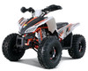 Rival Motor TRAILHAWK 10, ATV, 154FMI Automatic, Electric start