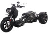 Ice Bear MADDOG 150cc Motor (PST150-19N) Trikes