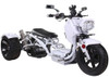 Ice Bear MADDOG 150cc Motor (PST150-19N) Trikes