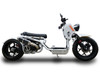 Ice Bear Maddog Gen V 50cc (PMZ50-22), Automatic, Electric and Kick Start