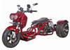 2024 Model ICE BEAR MADDOG PST50-19N 50CC TRIKE