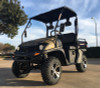 TrailMaster Taurus 200E-U EFI UTV, Golf Cart, side-by-side, Fuel Injected, Light Weight Utility - Tree  Camo