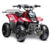 Made in Vietnam Goldenwing New Rex ATV, 110cc Air Cooled, 4-Stroke, 1-Cylinder, Automatic