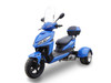 2025 Model Icebear Mojo (PST150-9Z) 150Cc Trike, Elec/kick start, air cooled engine oil (non-synthetic)