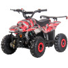 DongFang 110cc (DF110AVA) Gas ATV With 6-inch Wheel, Electric Start, Remote Shut Off Switch