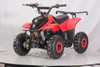 DongFang 110cc (DF110AVA) Gas ATV With 6-inch Wheel, Electric Start, Remote Shut Off Switch