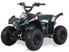 Ice Bear GRZ70 72cc Kids ATV Automatic Electric Start