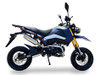 2024 Model Ice Bear Rogue ADV PMZ125-1EN – 125cc Dual Sport Motorcycle