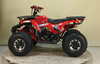 New RPS DYNO 125cc ATV with LED Lights, Alloy Wheels & Utility Body