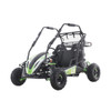 Taotao Baja Sprinter 200 CVT Go-Kart 196cc with Dual Suspension