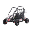 Taotao Baja Sprinter 200 CVT Go-Kart 196cc with Dual Suspension