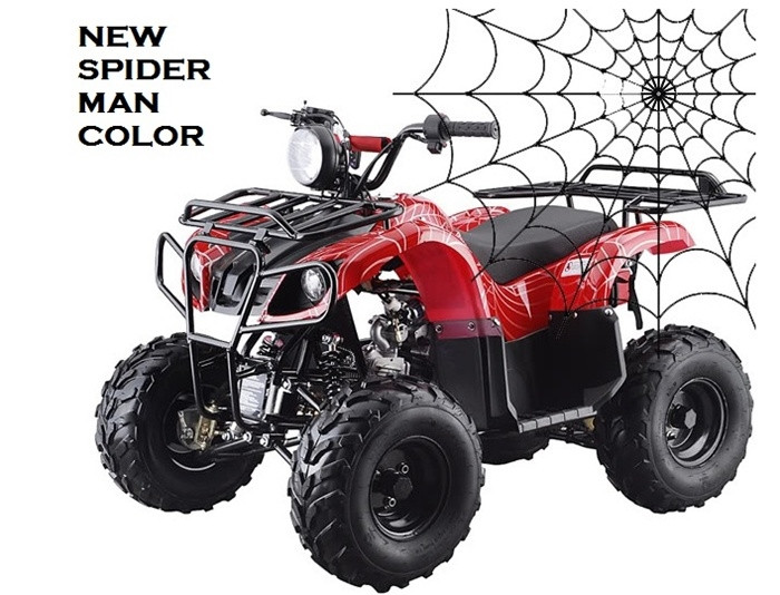 Shop Taotao Motor New Spider Man 110cc | Single Cylinder ATV