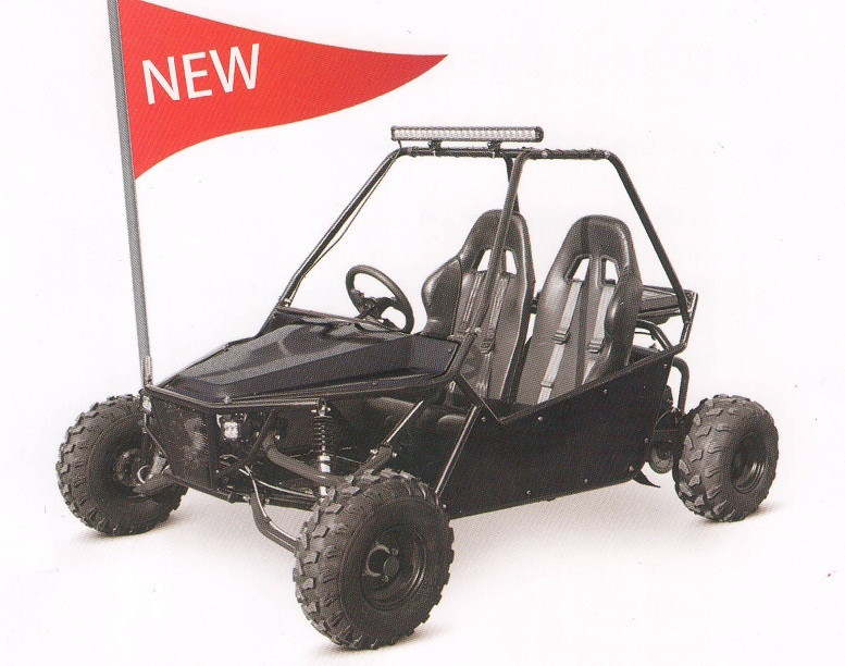 Buy Kandi New Viper (200GKM-A) 177.3cc Go Kart, for online sale.