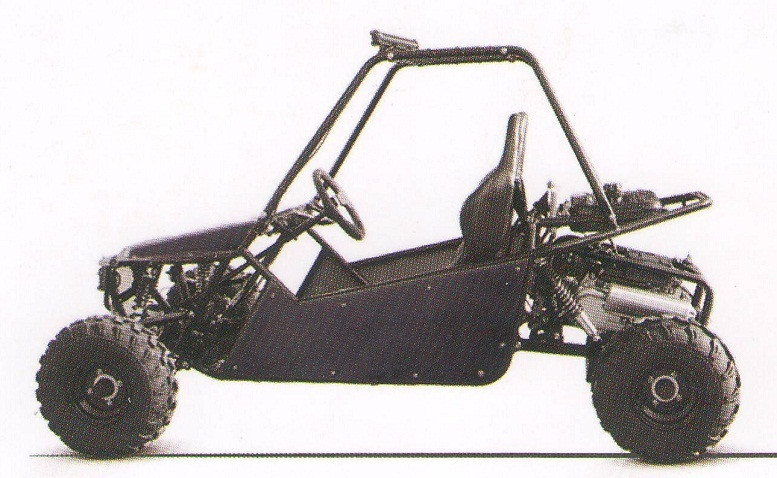 Buy Kandi New Viper (200GKM-A) 177.3cc Go Kart, for online sale.
