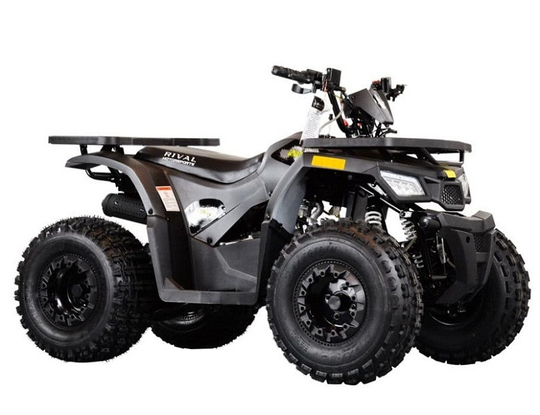 Tao Motor Mudhawk 10 ATV, 4-stroke Electric Start - Txpowersports.com