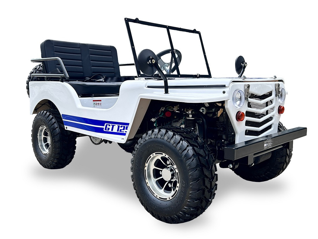 Ice bear Jeep Off-Road 125cc Mini Go-Kart | TX Powersports