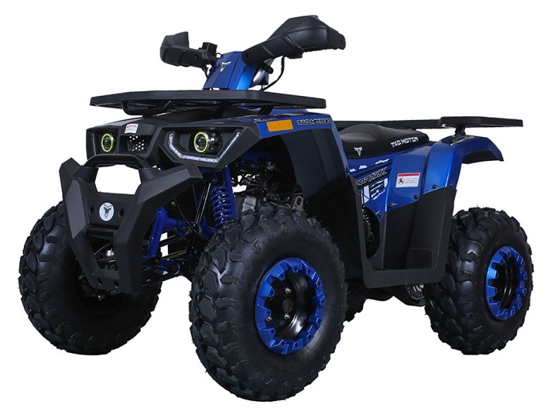 Buy New Taotao G200 Utility ATV Automatic Assembled -TXPowersports.com