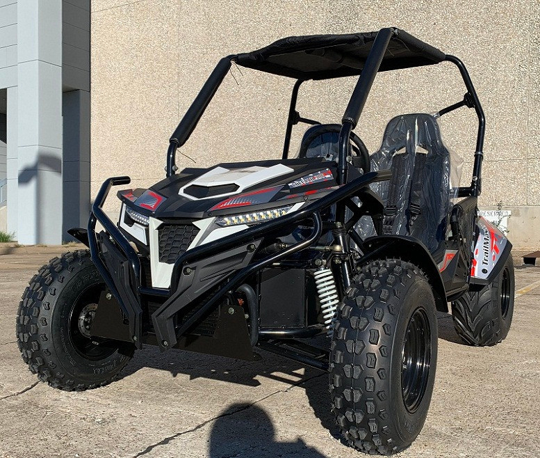 Buy New Trail master Cheetah 300E Go Kart Automatic -txpowersports.com