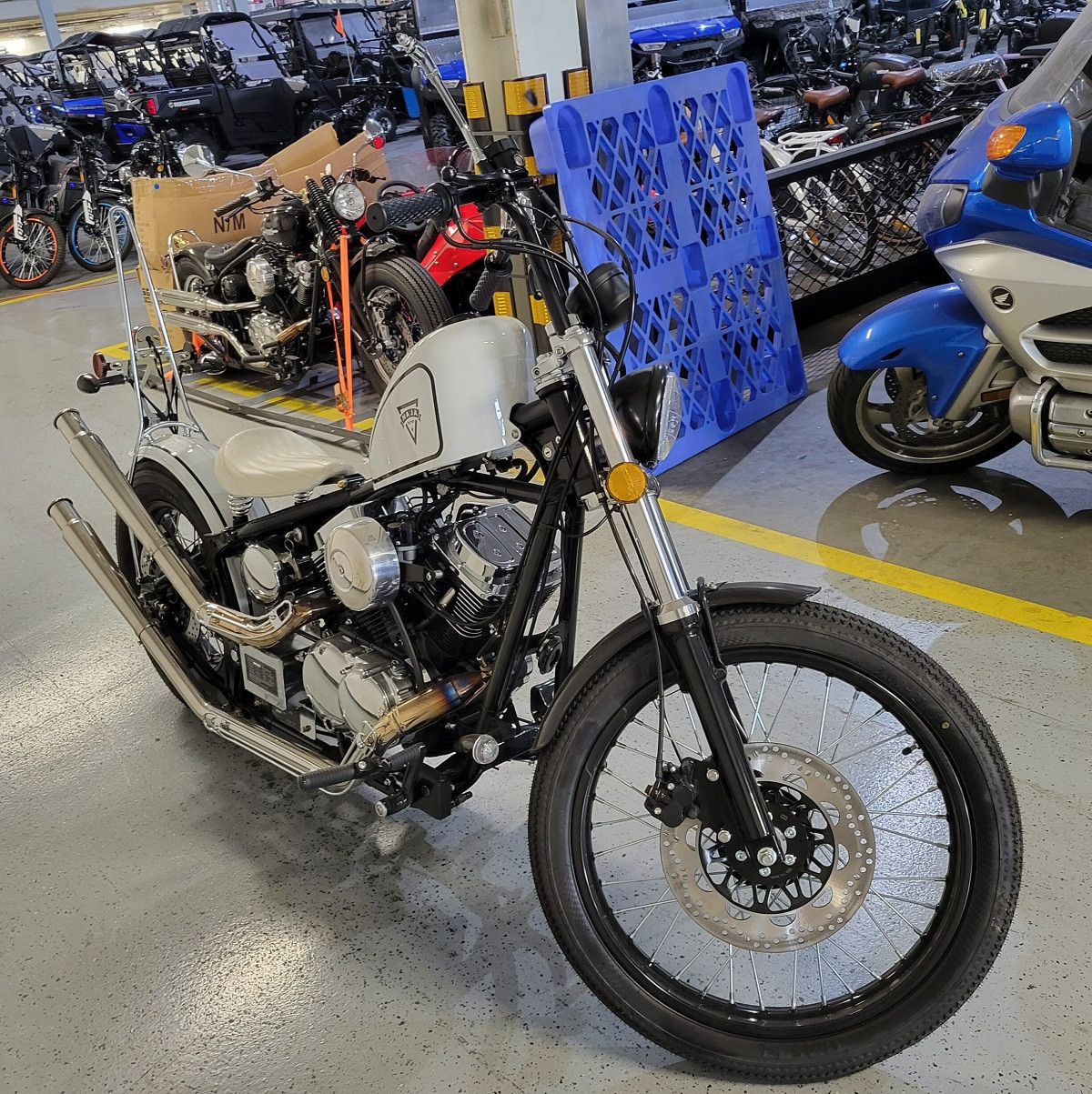 Display Model Massimo 32A00 Naja motorcycle | Tx powersports