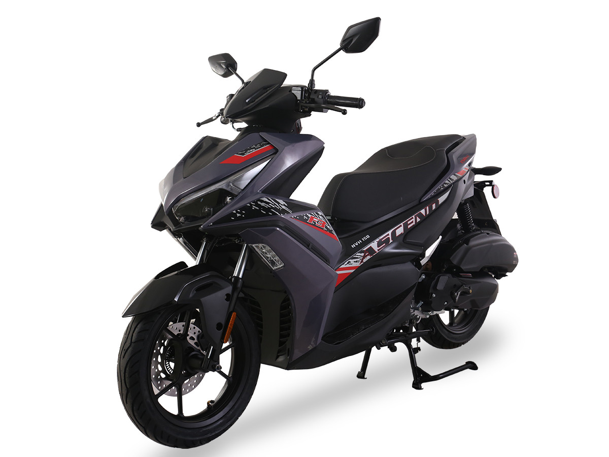 Icebear F3 (PMZ150-3) 150cc GY6 Scooter For Sale | Txpowersport