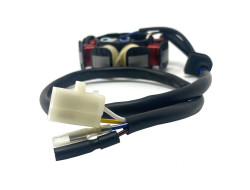 Stator MYK 4-Wires 50cc 4T Scooters