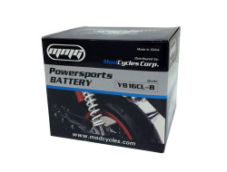 **2 Batteries** YB16CL_B