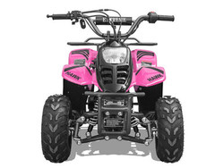 VITACCI HAWK REX 110CC ATV, 6" TIRE-AVAILABLE IN FULLY ASSEMBLED AND TESTED