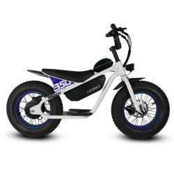 SRPNT Big Boy Electric Bike – 16" Fat Tire, 350W Motor & 36V Battery