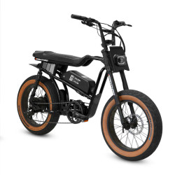 SRPNT Panthro Electric Bike – 750W Motor, 48V Battery, 28 MPH Top Speed
