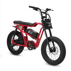 SRPNT Panthro Electric Bike – 750W Motor, 48V Battery, 28 MPH Top Speed